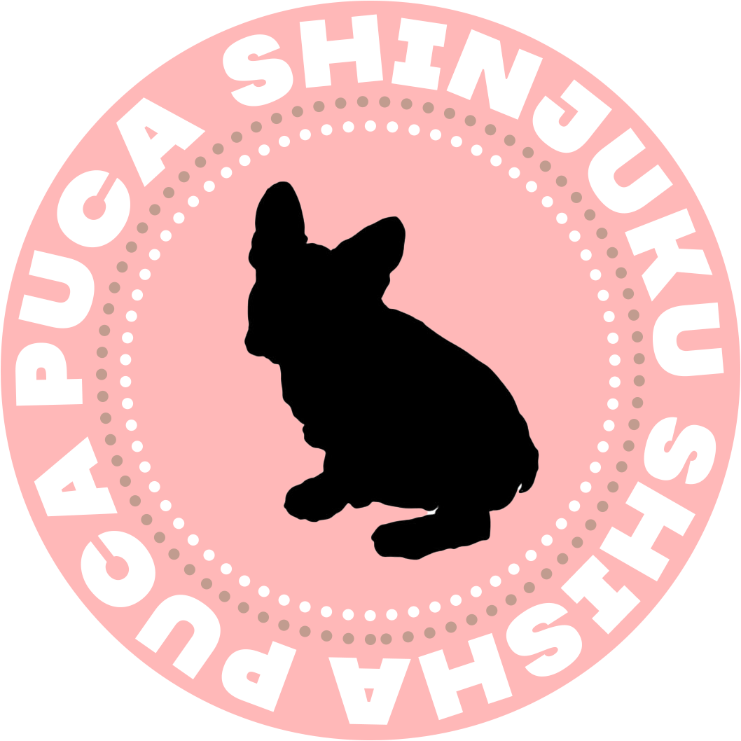 お店のロゴ作成してみました 新宿 シーシャカフェ Pucapuca プカプカ